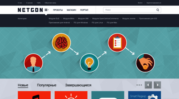 netgon.ru