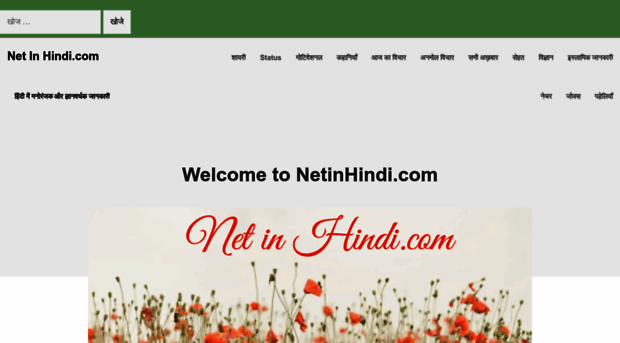 netinhindi.com