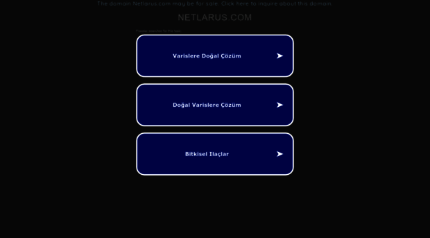 netlarus.com