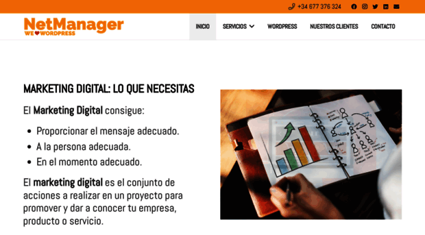 netmanager.es