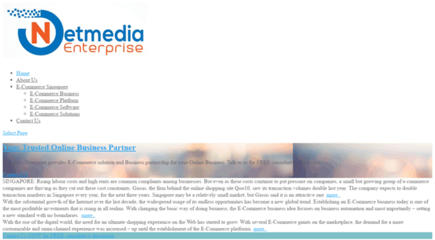 netmedia-enterprise.com