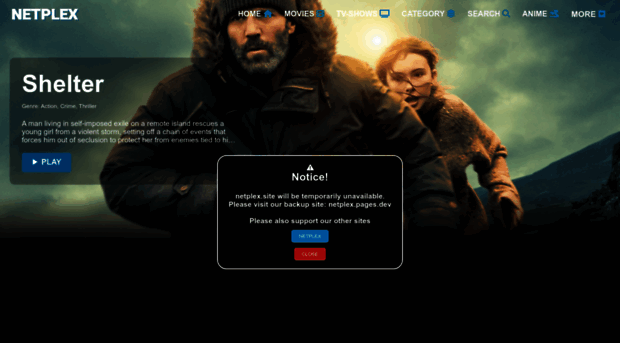 netplex.site - Your domain is expired - Netplex
