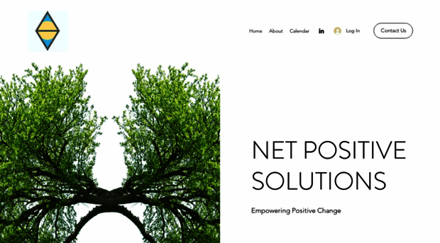 netpositivesolutions.org