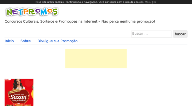 netpromos.com.br