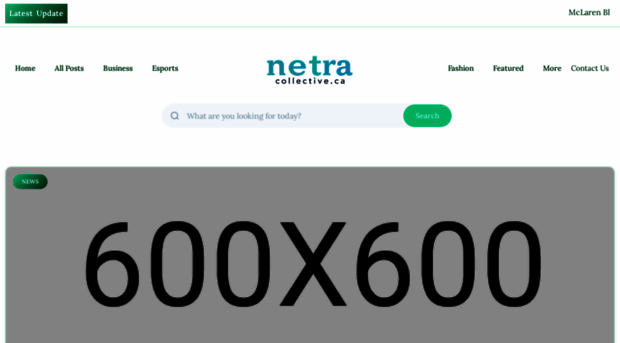 netracollective.ca