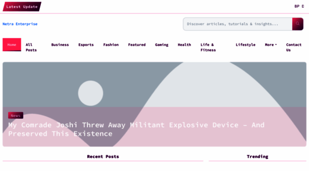 netraenterprise.co.uk