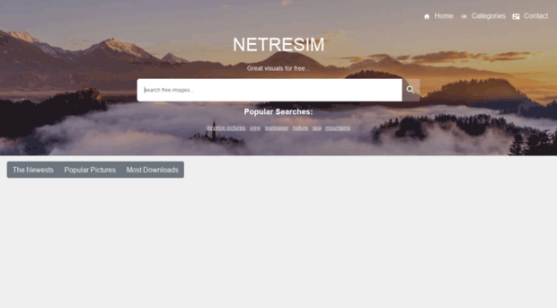 netresim.com