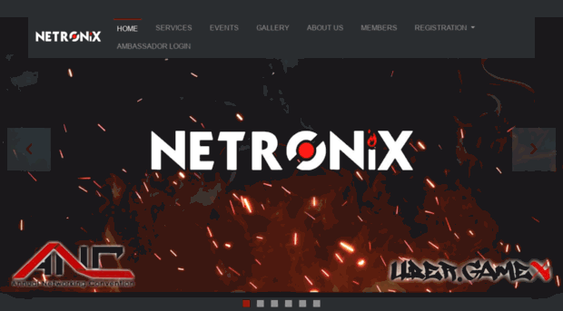 netronixgiki.com