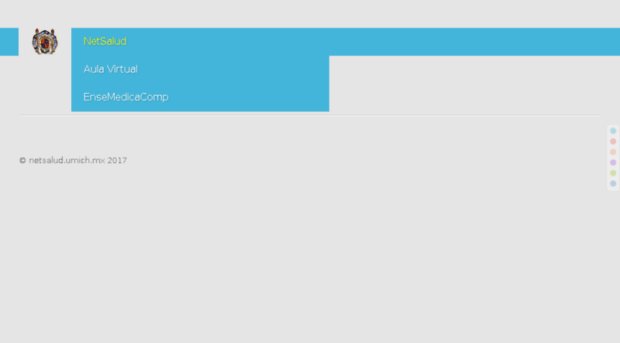 netsalud.umich.mx
