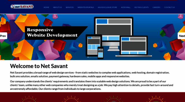 netsavant.org