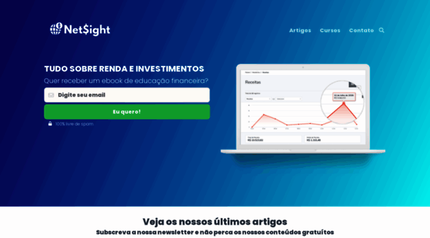 netsight.com.br
