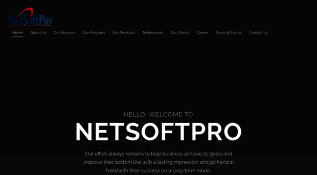 netsoftpro.com