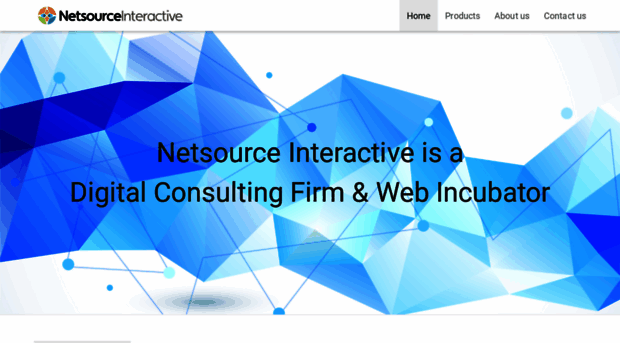 netsourceinteractive.com