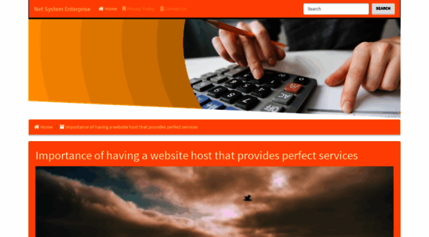 netsystem-enterprise.com