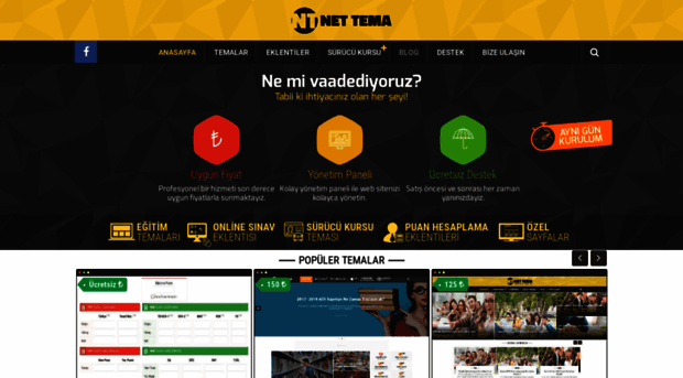 nettema.com