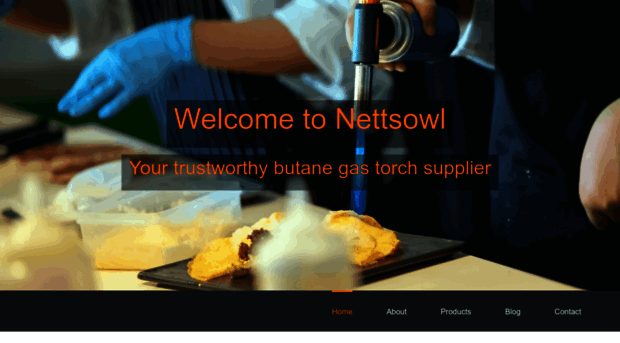 nettsowl.com