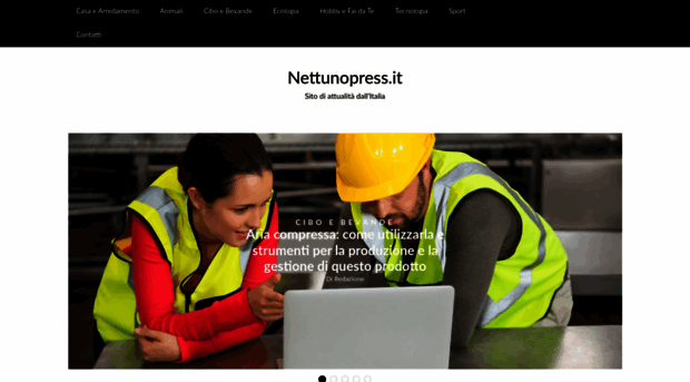 nettunopress.it