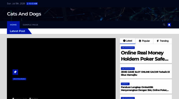 netvti.com