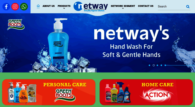 netwayindia.in