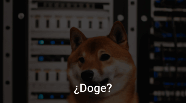 network.doge.kr