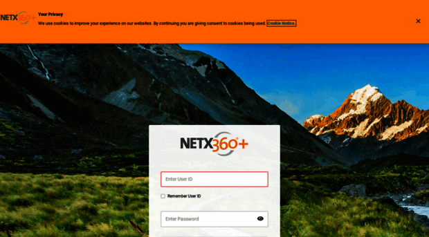 netx360.com