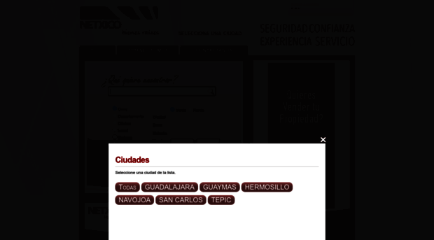 netxico.com