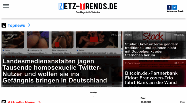 netz-trends.de