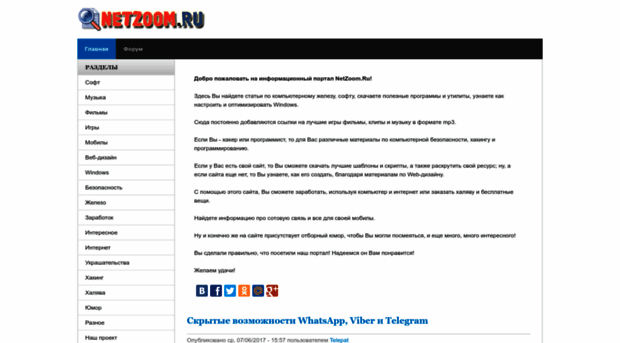 netzoom.ru