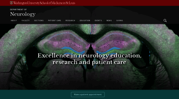 neuro.wustl.edu