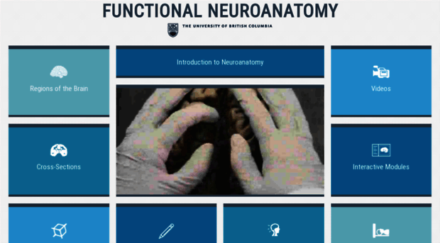 neuroanatomy.ca