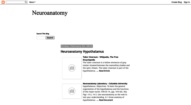 neuroanatomynokemura.blogspot.com