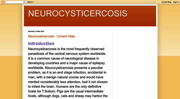 neurocysticercosis.blogspot.com