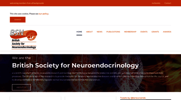 neuroendo.org.uk