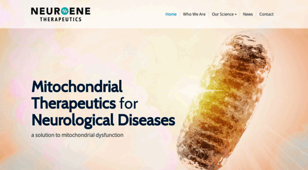 neuroenetherapeutics.com