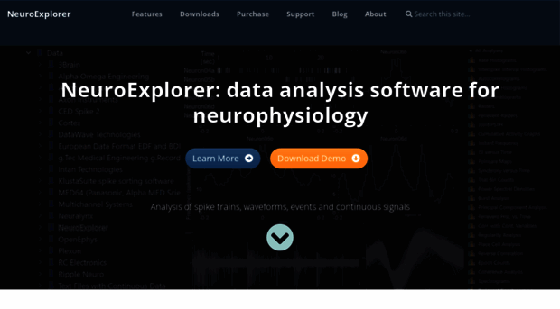 neuroexplorer.com