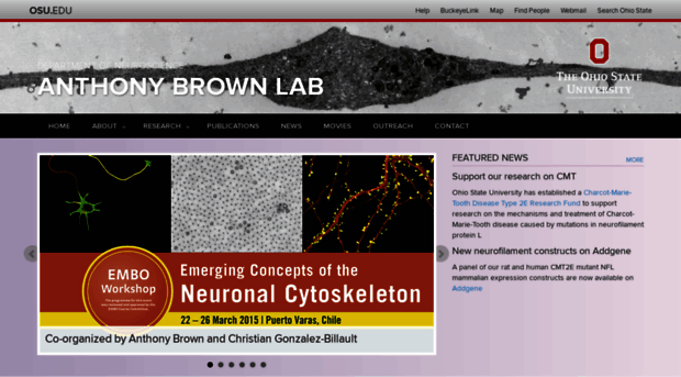 neurofilament.osu.edu