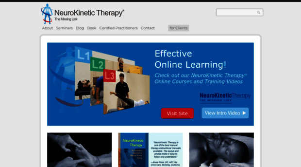 neurokinetictherapy.com