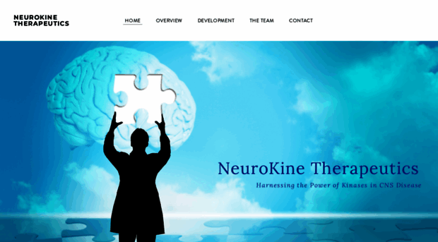 neurokinetp.com