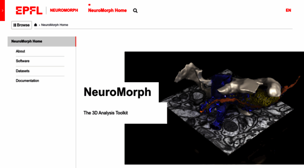 neuromorph.epfl.ch