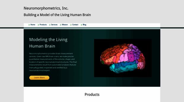 neuromorphometrics.com