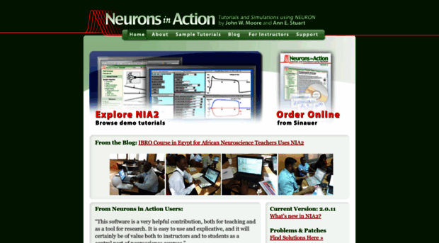 neuronsinaction.com