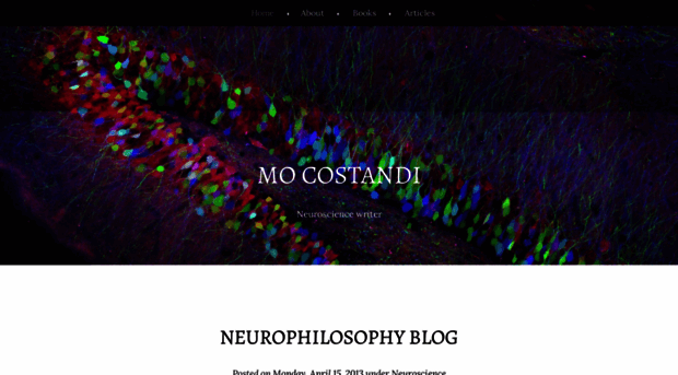 neurophilosophy.wordpress.com