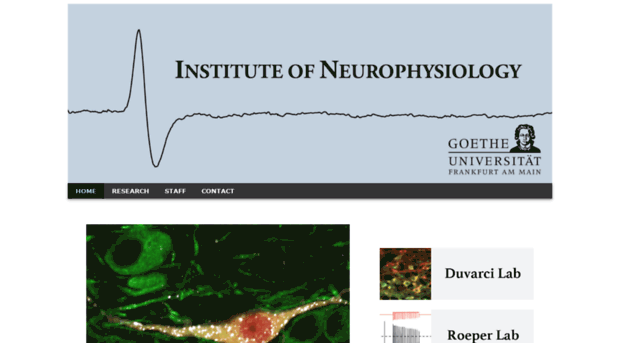 neurophys.uni-frankfurt.de