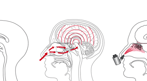 neuroscience-graphicdesign.com
