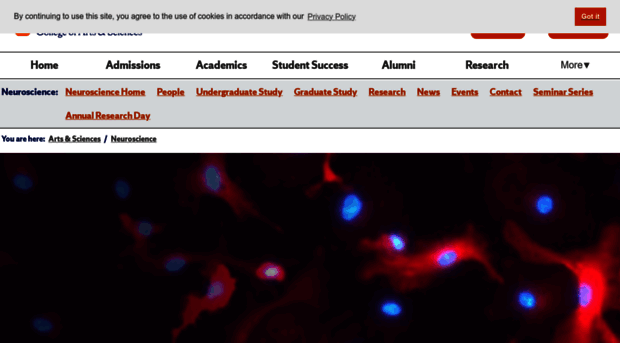 neuroscience.syr.edu