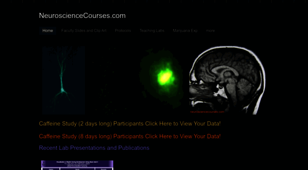 neurosciencecourses.com