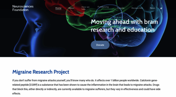 neurosciencesfoundation.org.uk