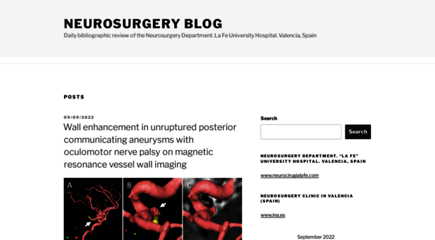 neurosurgery-blog.com