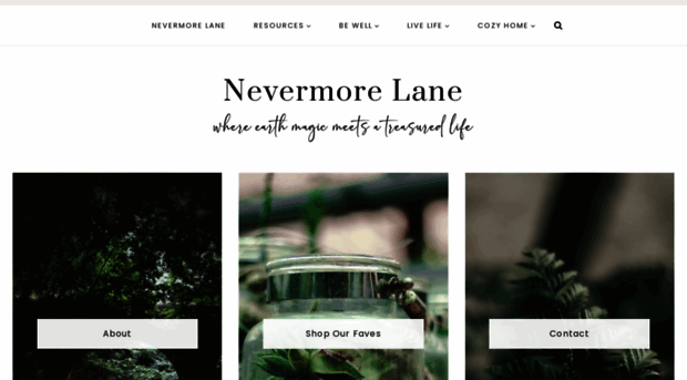 nevermorelane.com