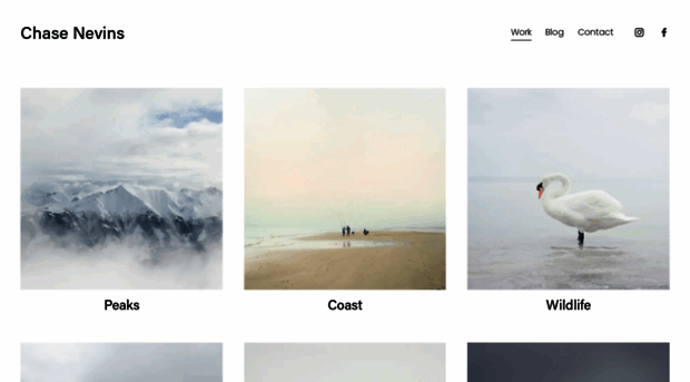 nevins-demo.squarespace.com
